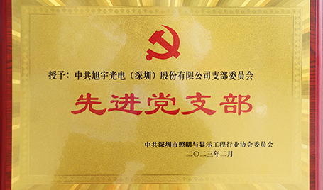 踐行初心，擔(dān)當(dāng)使命丨旭宇光電獲評(píng)“先進(jìn)黨支部”